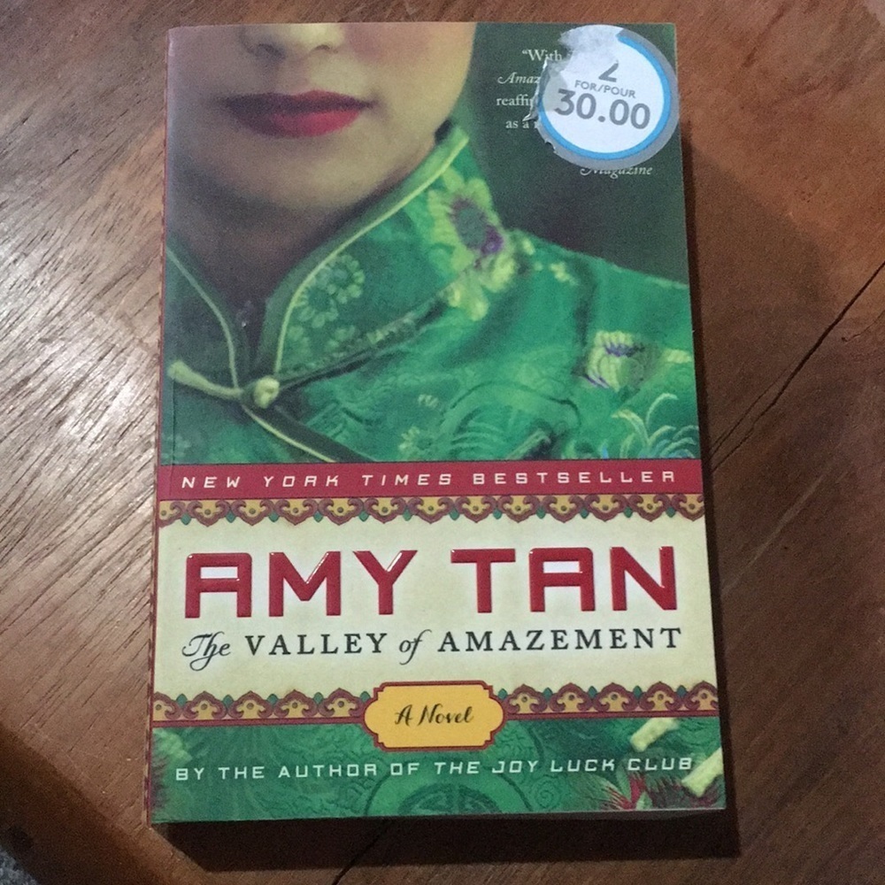 The valley of amazement novel by Amy Tan books